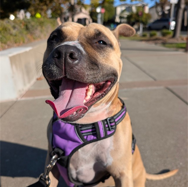 Image_A053807