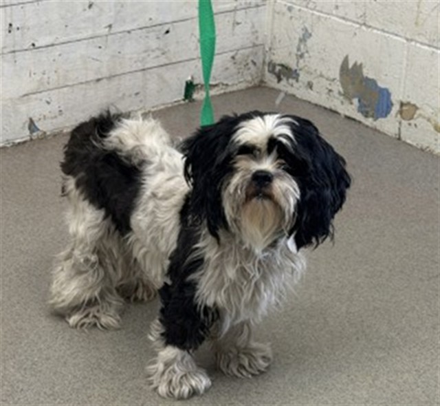 Image_A599566