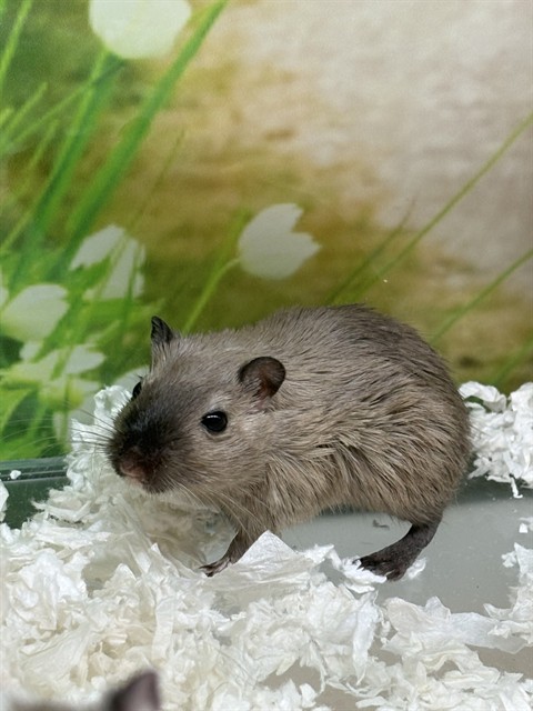 Featured Image