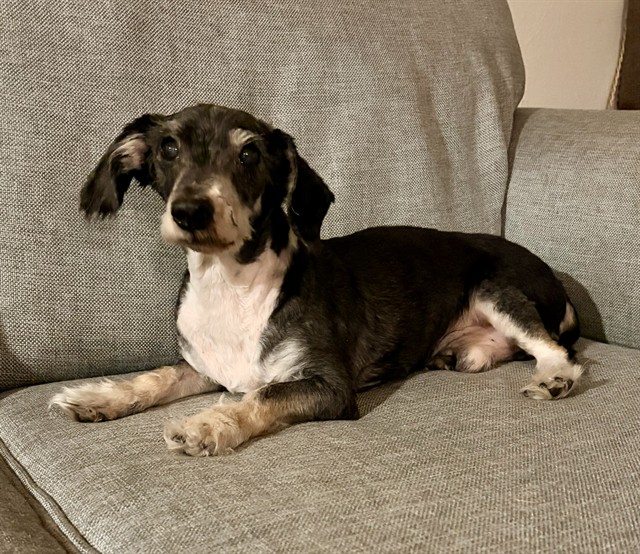 Featured Image
