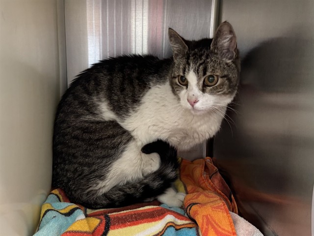 Featured Image