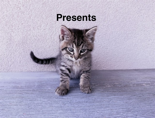 Featured Image