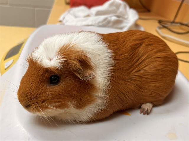 Featured Image