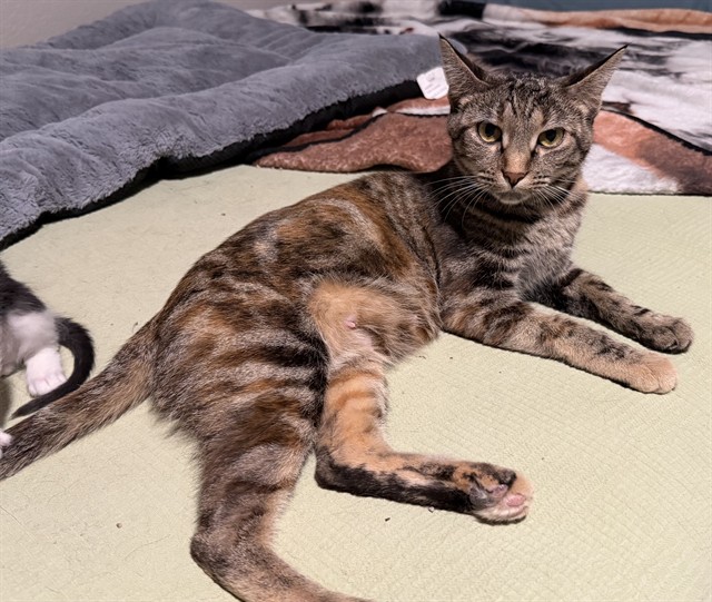 Featured Image