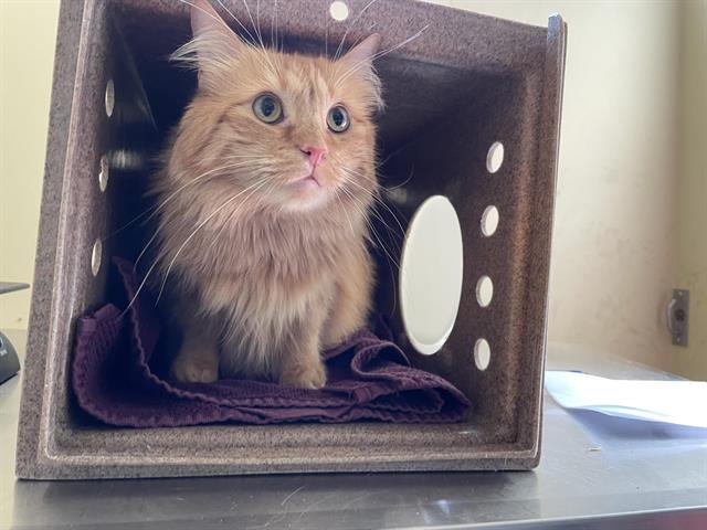 No Name