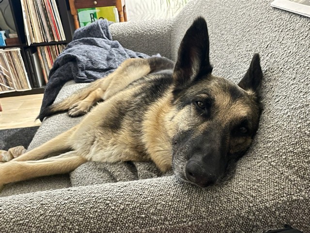 Naya