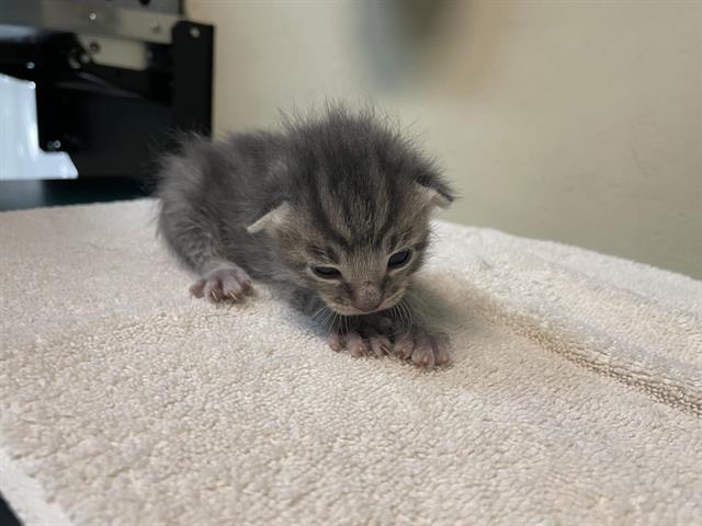 No Name