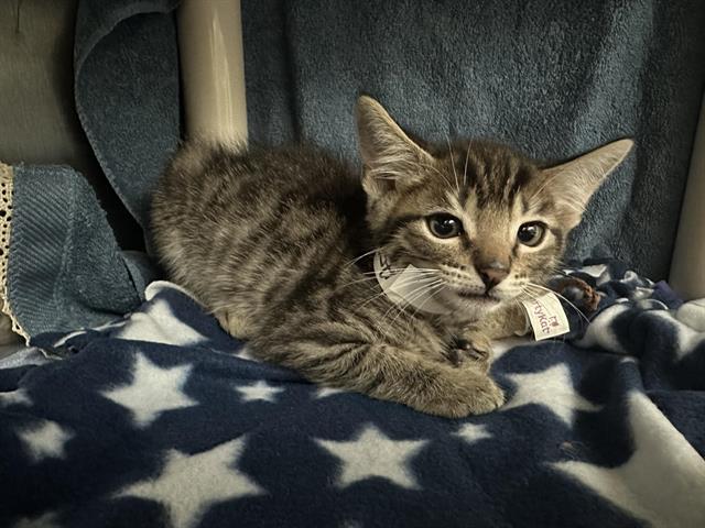 No Name