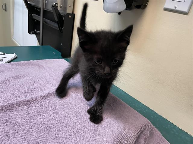 No Name