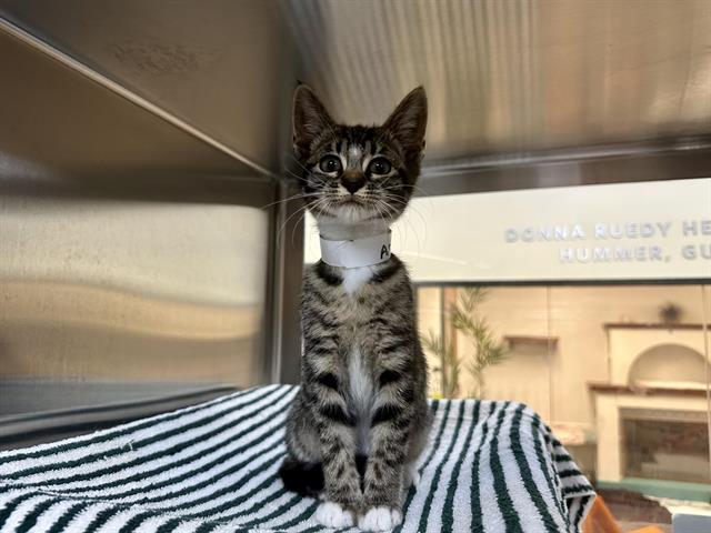 No Name
