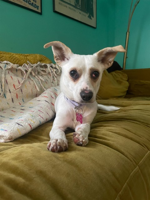 Donna Dobby