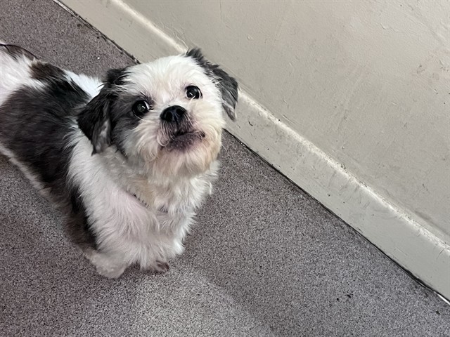 Mumu