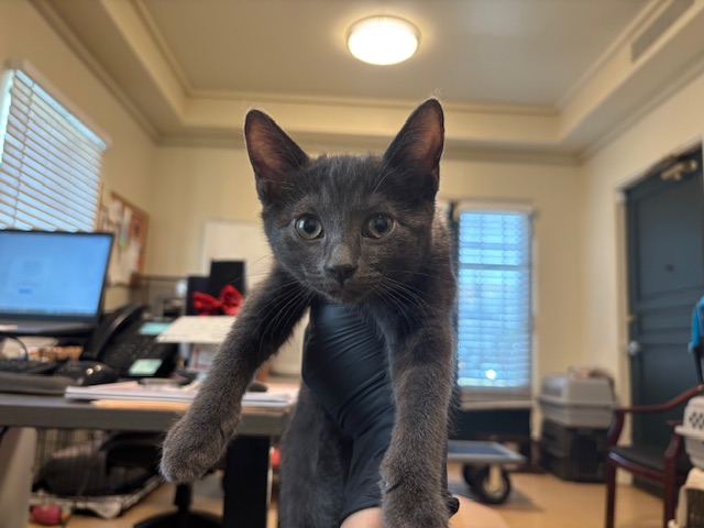 No Name