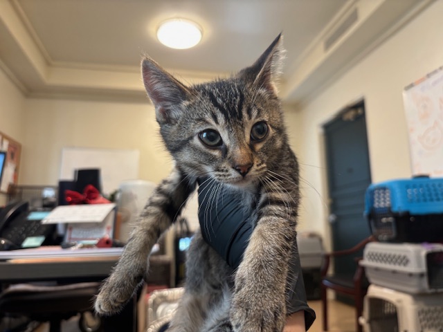 No Name