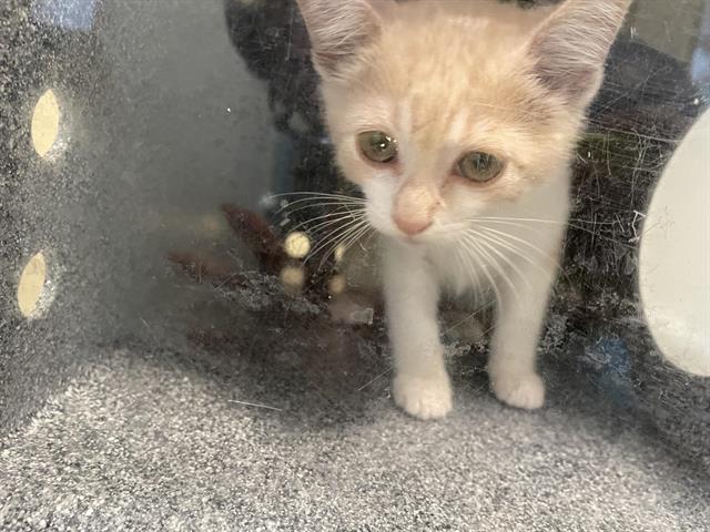 No Name