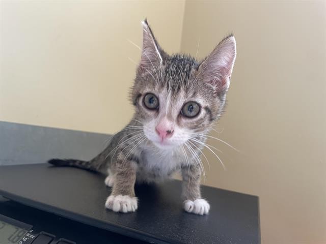 No Name