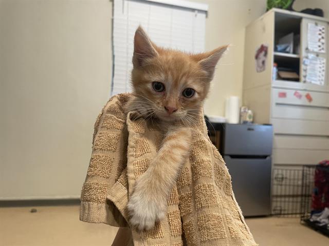 No Name