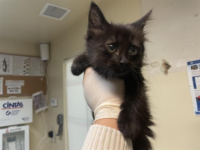 No Name