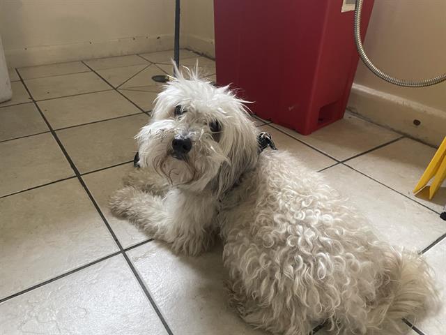 Sebastian