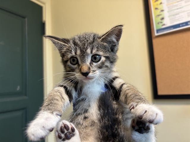 No Name