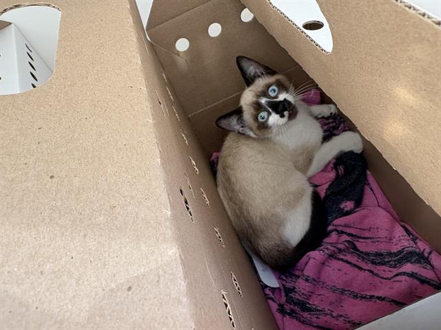 No Name