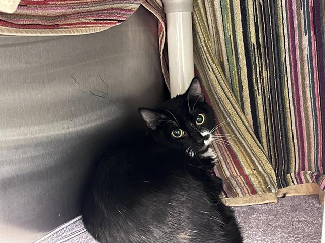 No Name