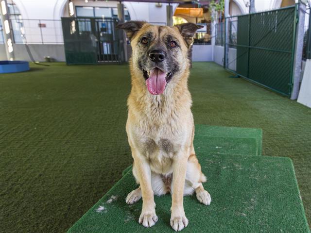 Kona