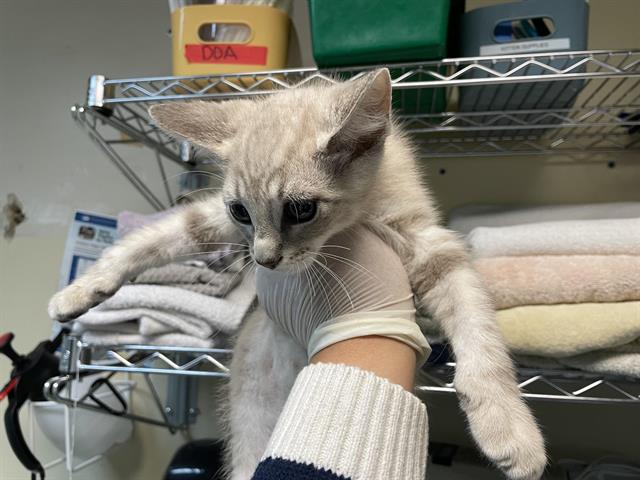 No Name