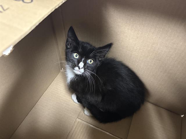 No Name