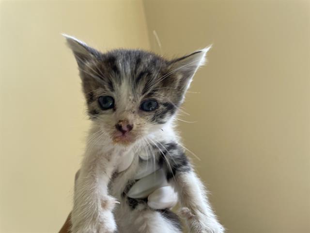 No Name