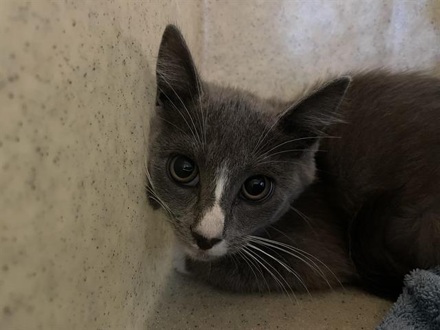 No Name