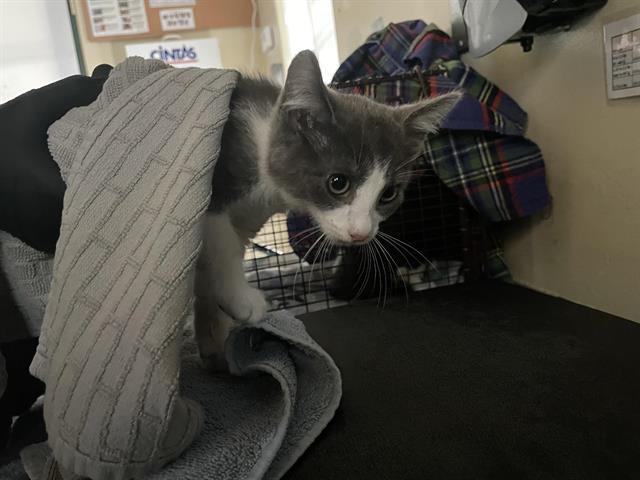 No Name