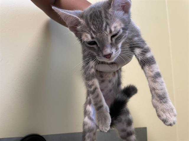 No Name