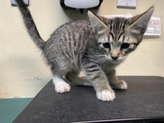 No Name
