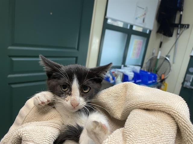 No Name