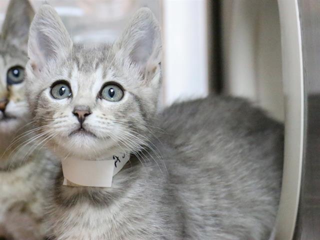 No Name