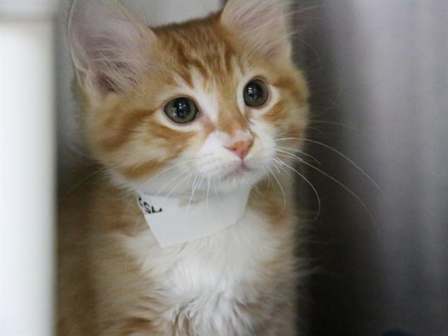 No Name
