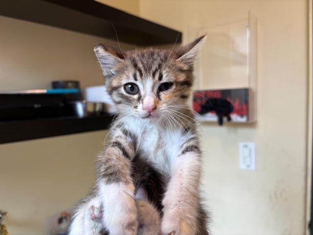 No Name