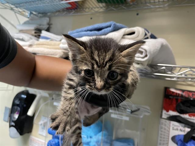 No Name