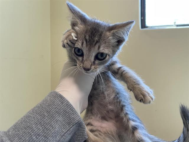 No Name