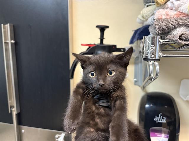 No Name