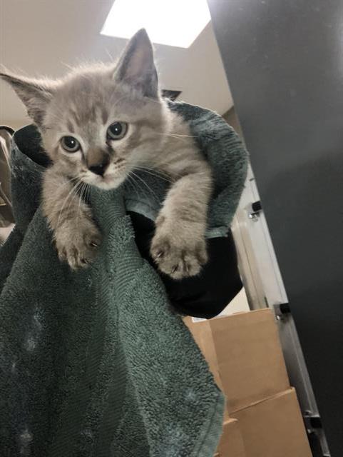 No Name