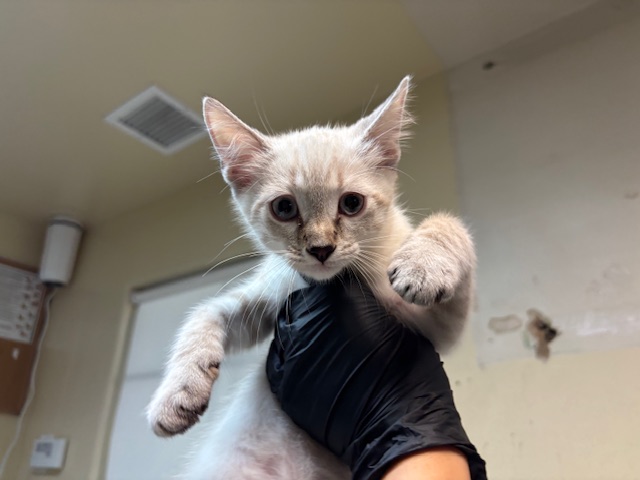 No Name