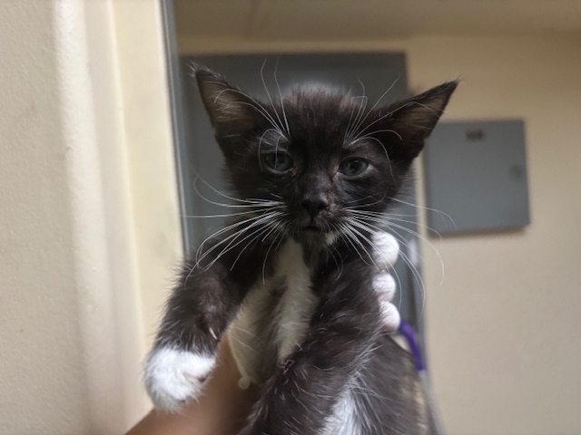 No Name