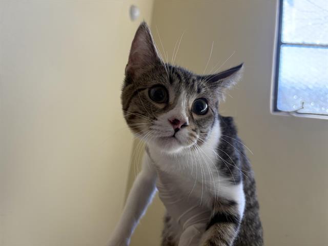 No Name