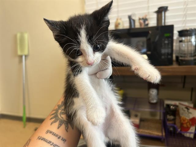 No Name