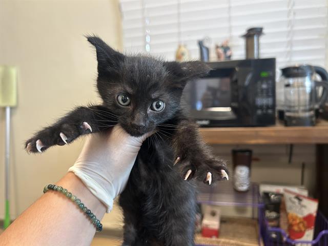 No Name