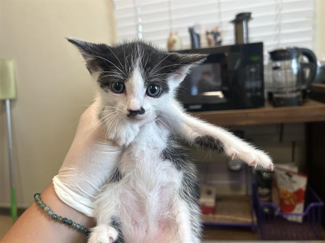 No Name