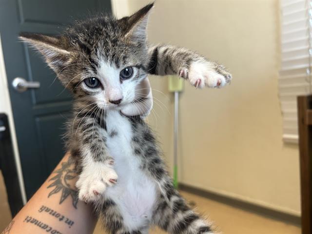 No Name