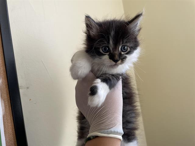 No Name